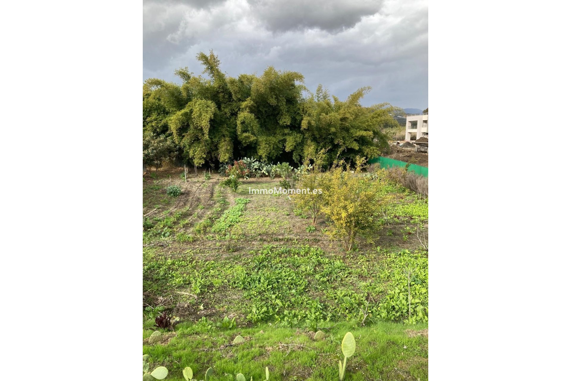 Bestaande woning - Grond - Casares - Casares Centro