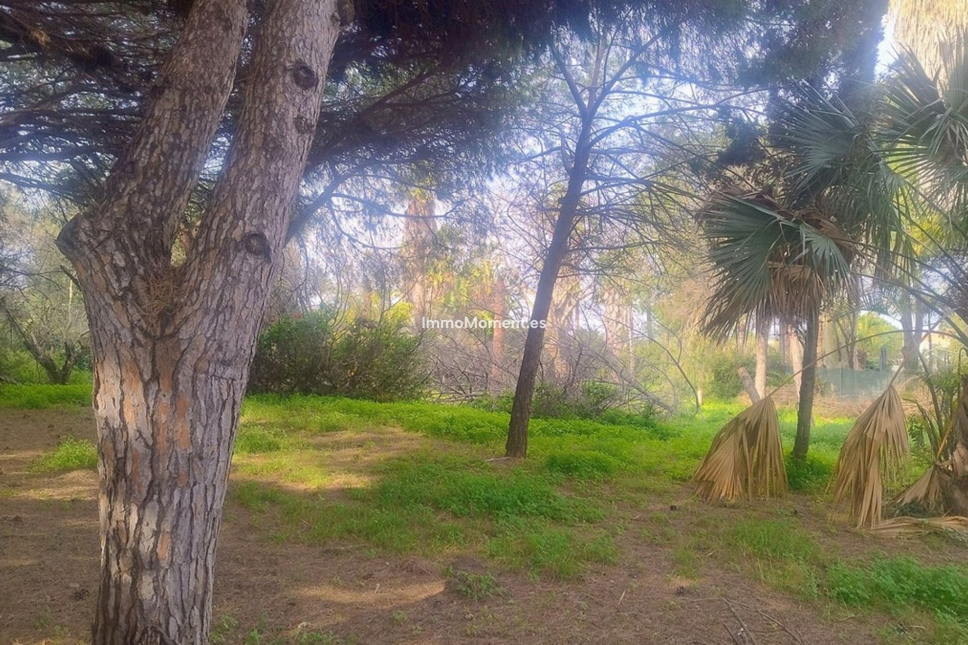 Bestaande woning - Grond - Marbella - Hacienda Las Chapas