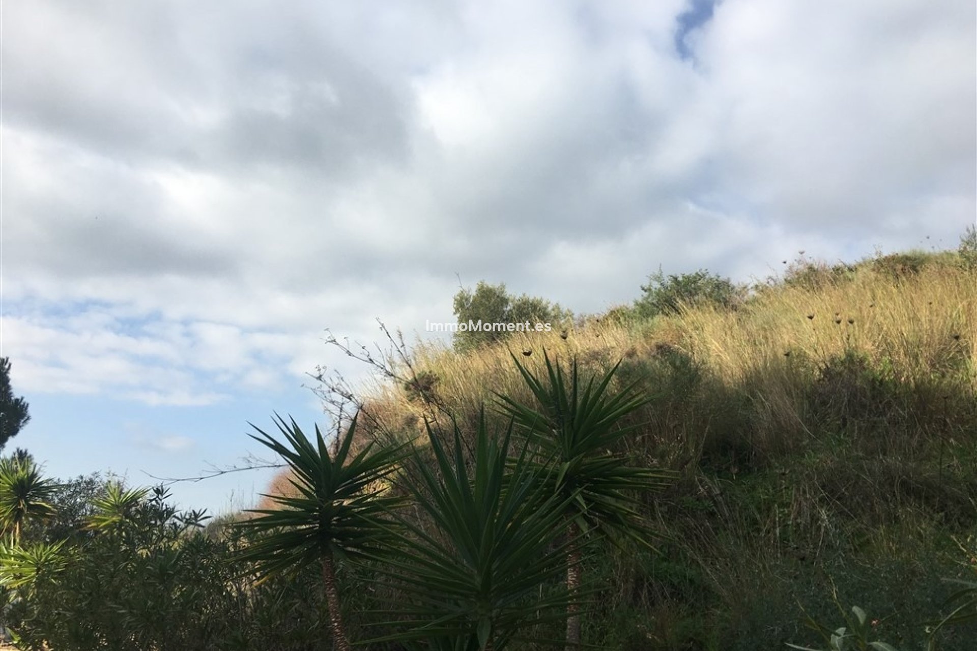 Bestaande woning - Grond - Mijas - Mijas Centro