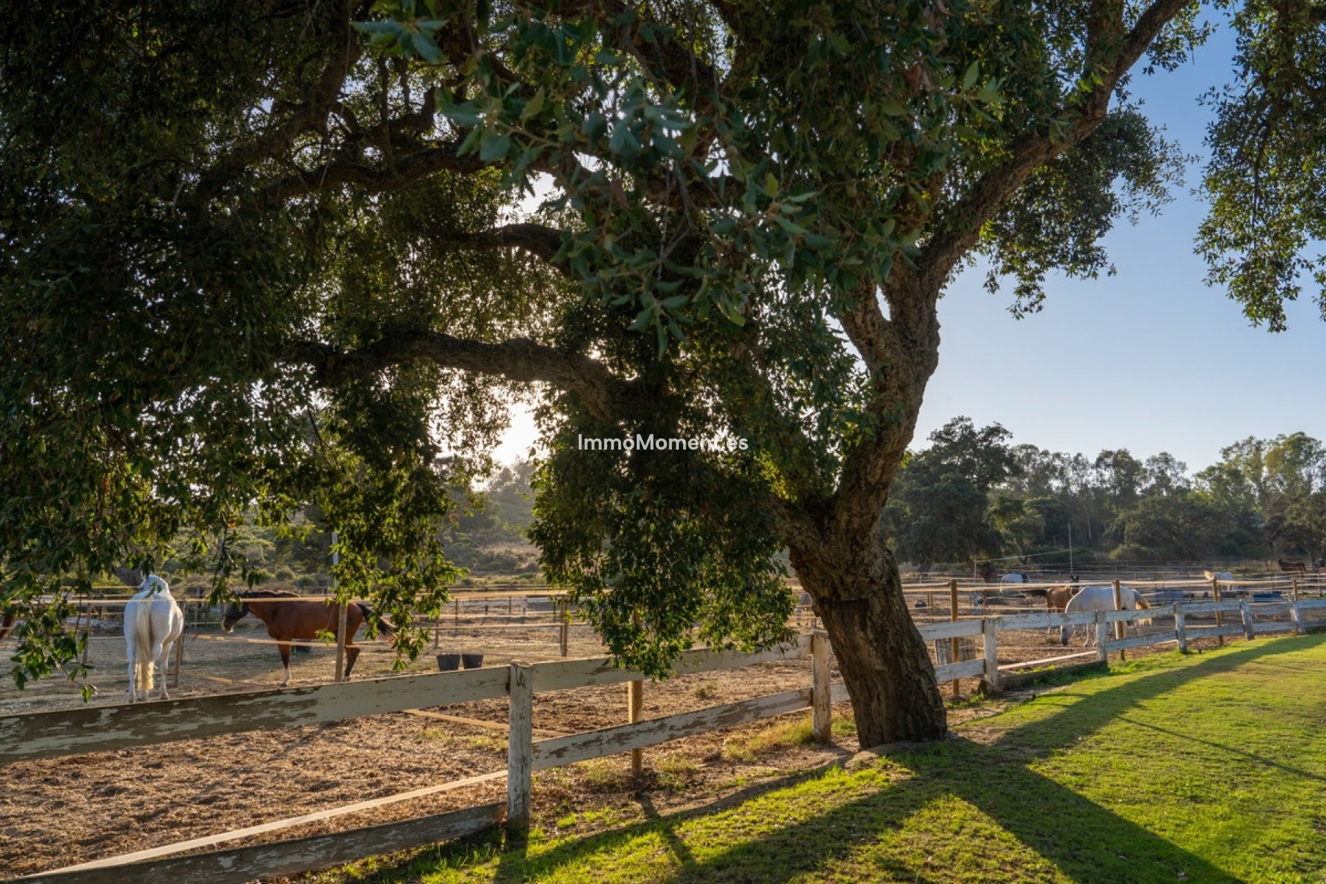 Bestaande woning - Grond - Sotogrande - San Roque Club