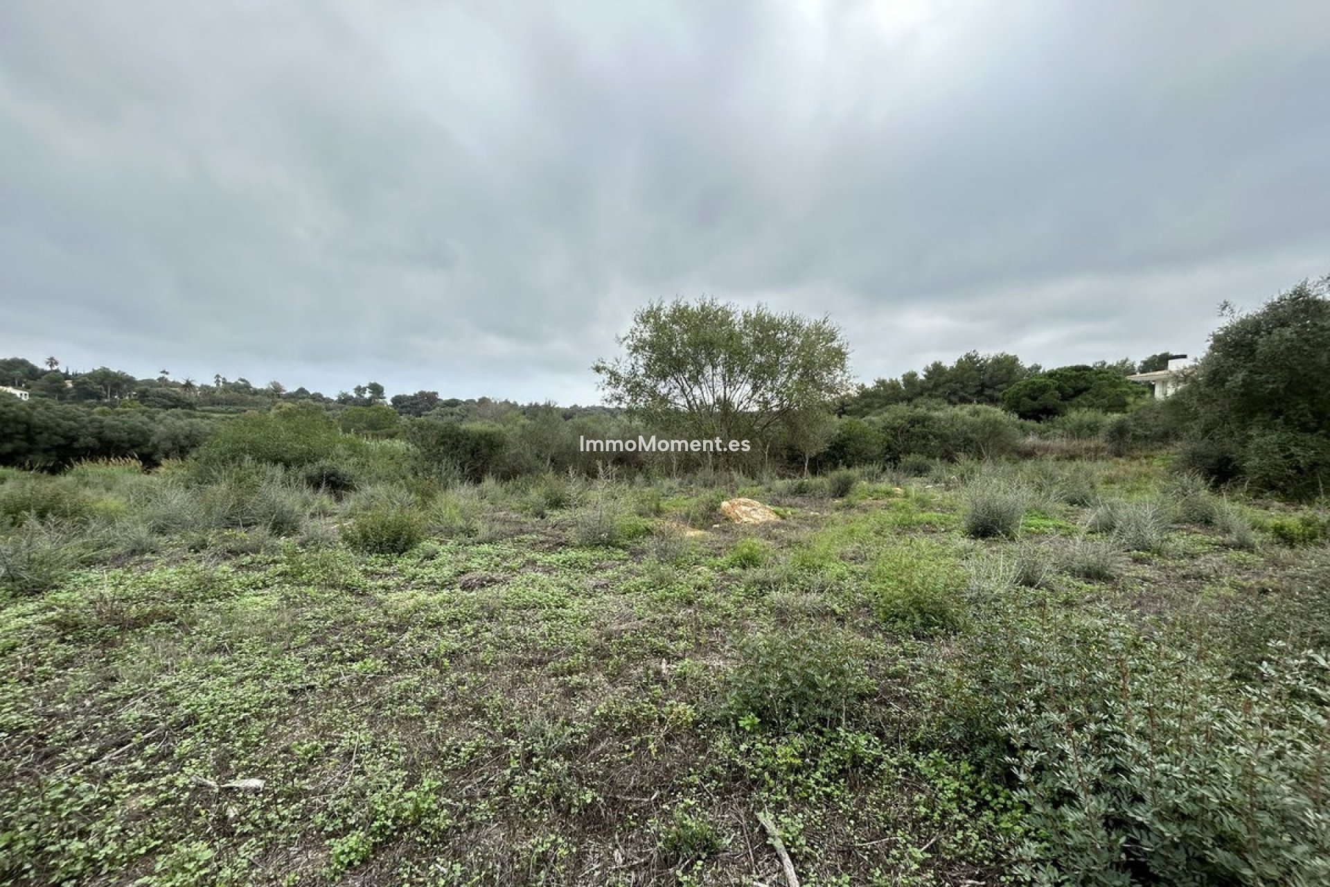 Bestaande woning - Grond - Sotogrande - Sotogrande Alto