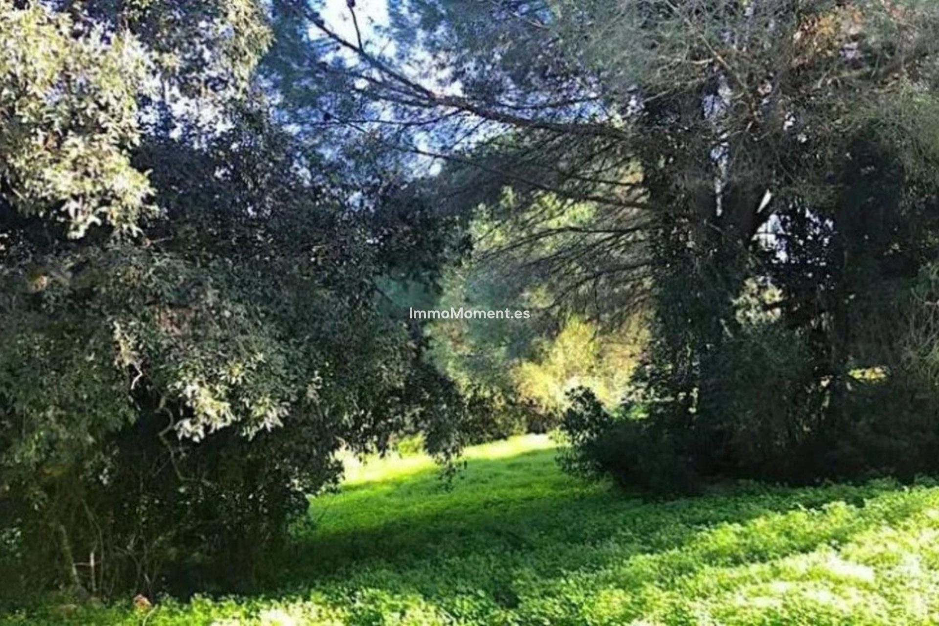 Bestaande woning - Grond - Sotogrande - Sotogrande Alto