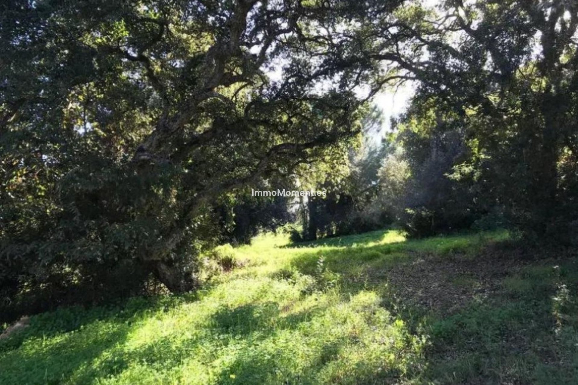 Bestaande woning - Grond - Sotogrande - Sotogrande Alto