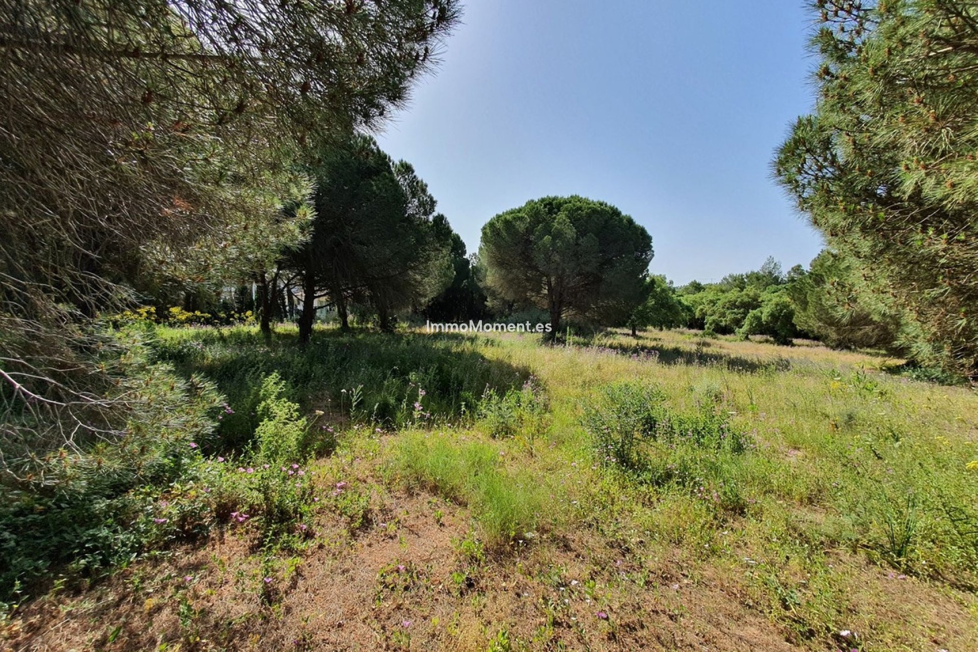 Bestaande woning - Grond - Sotogrande