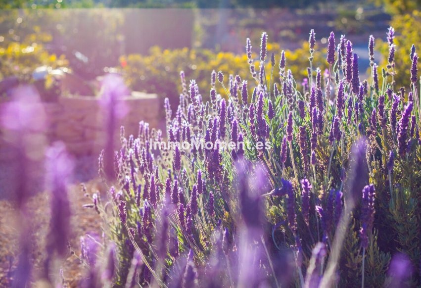 Bestaande woning - Landhuis - Benissa - Benissa Centro