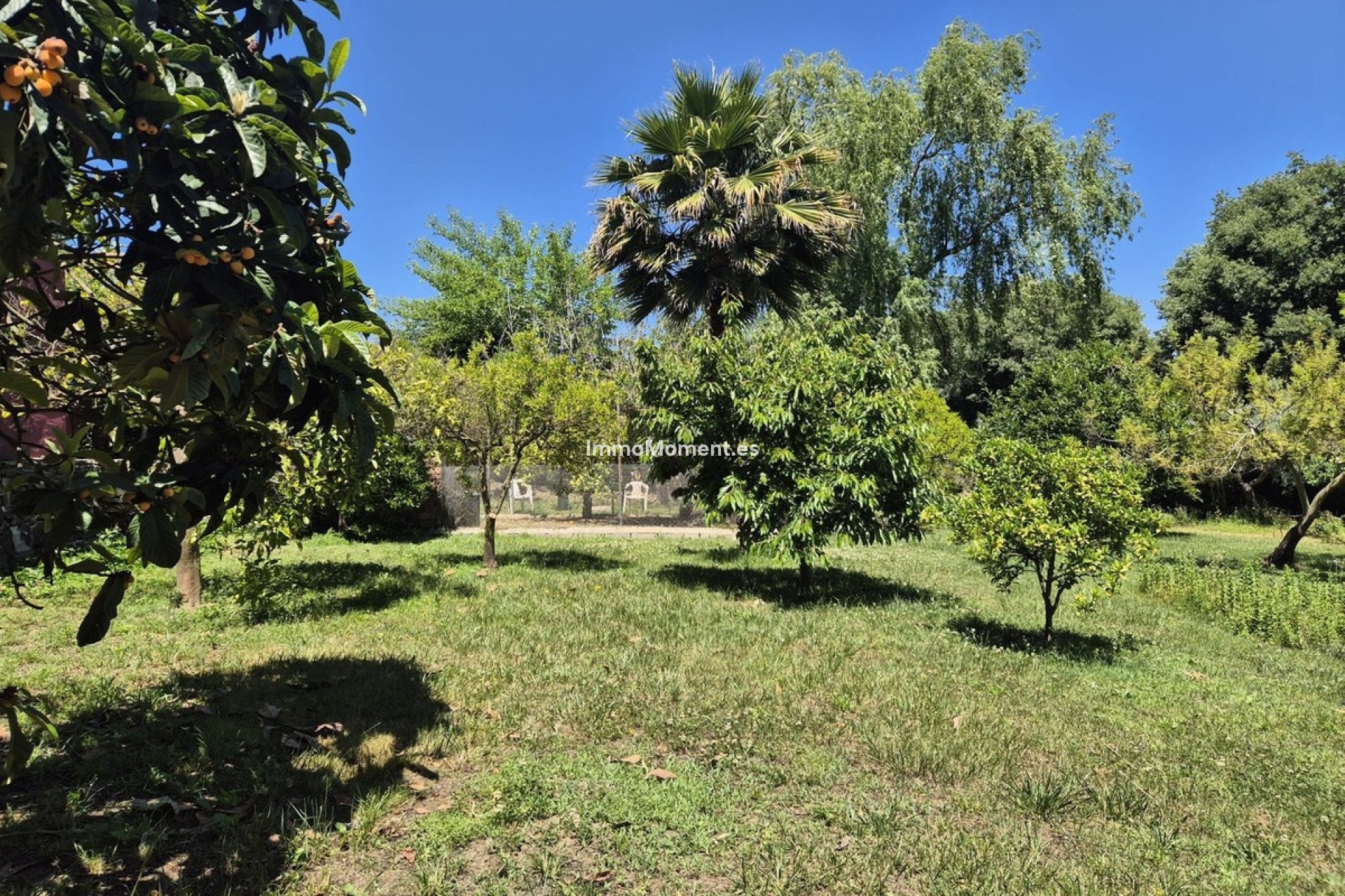 Bestaande woning - Landhuis - Binnenland  - Alhaurín el Grande Centro