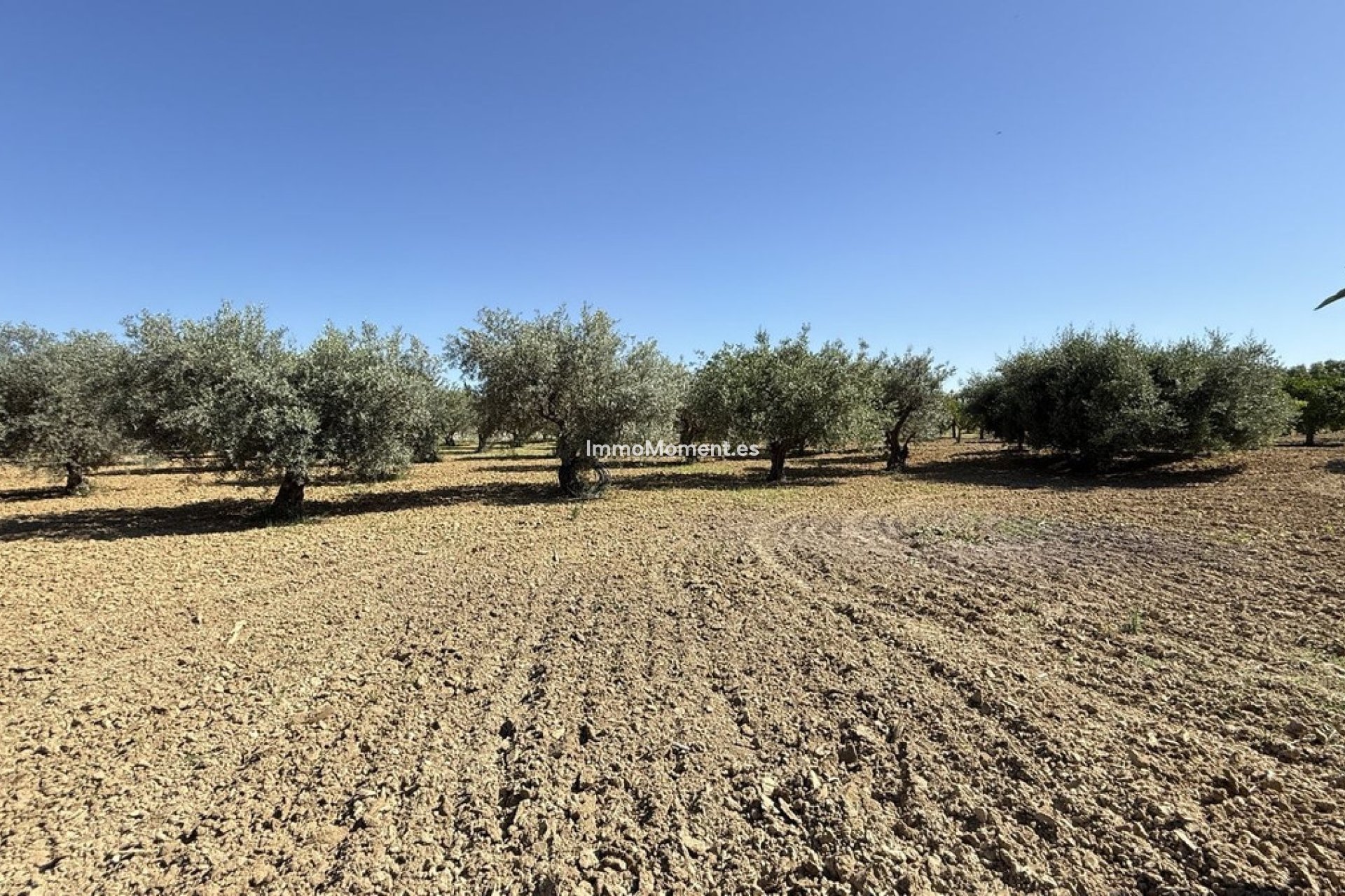 Bestaande woning - Landhuis - Binnenland  - Alhaurín el Grande Centro