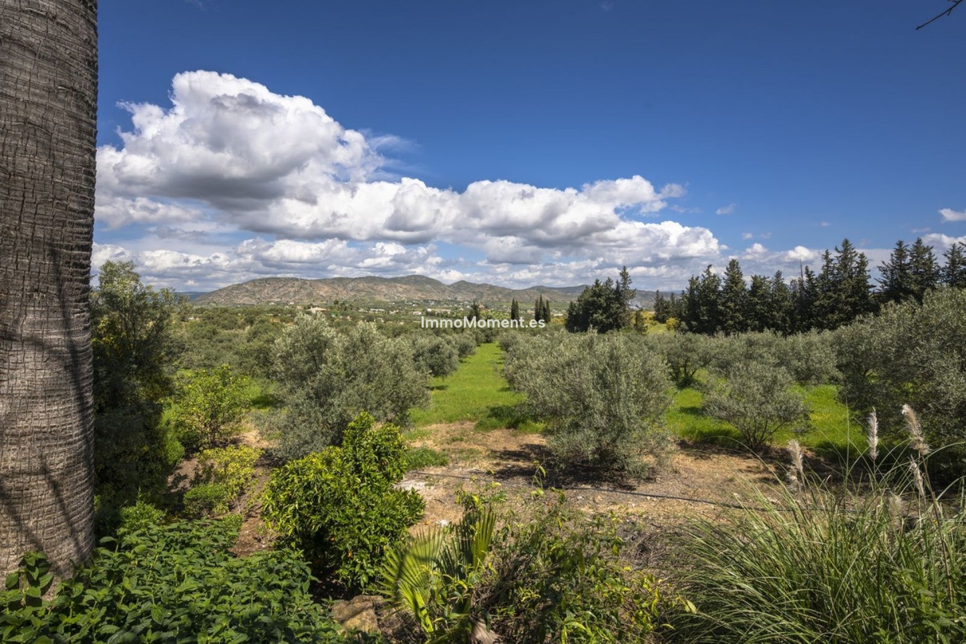 Bestaande woning - Landhuis - Binnenland  - Alhaurín el Grande Centro