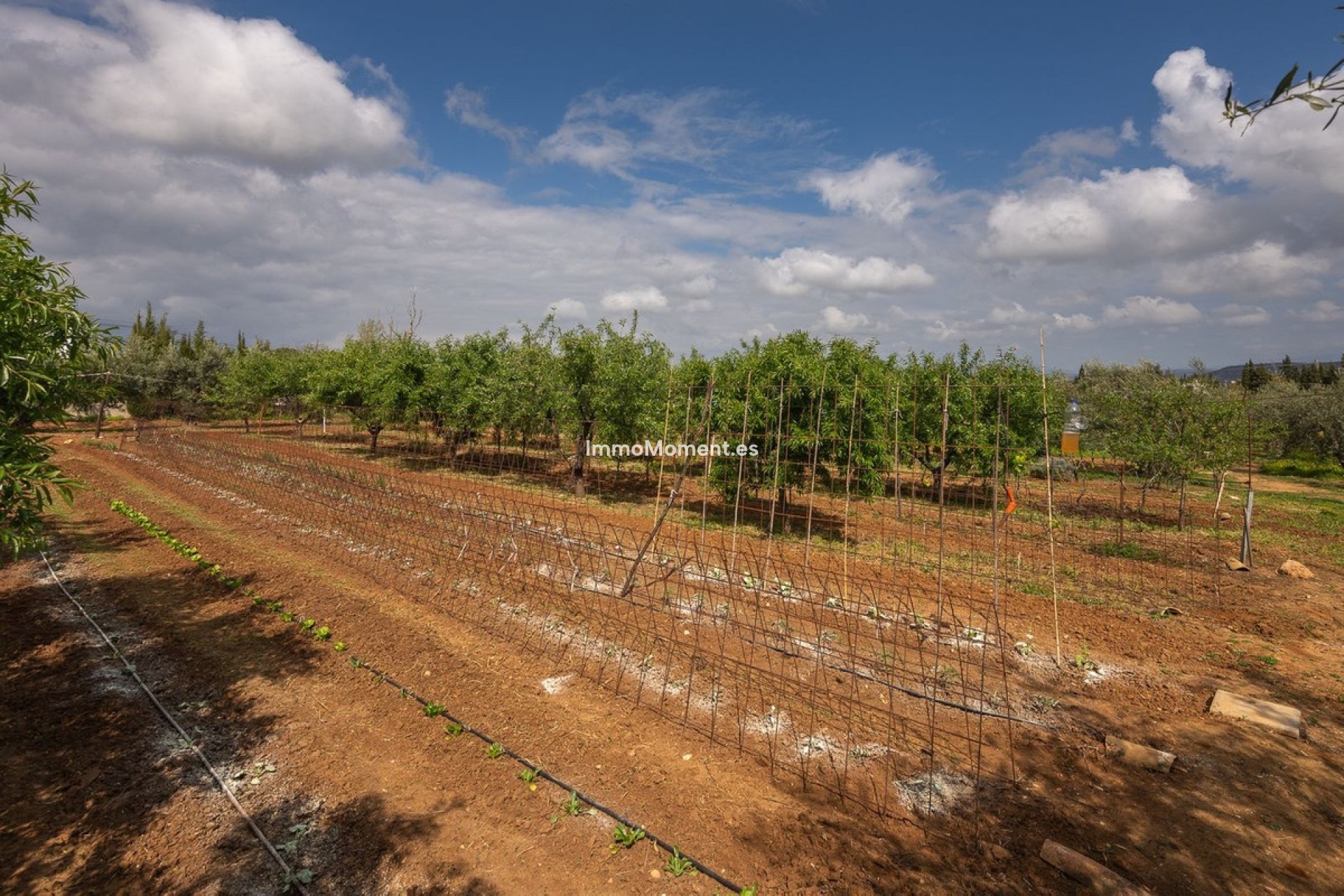 Bestaande woning - Landhuis - Binnenland  - Alhaurín el Grande Centro