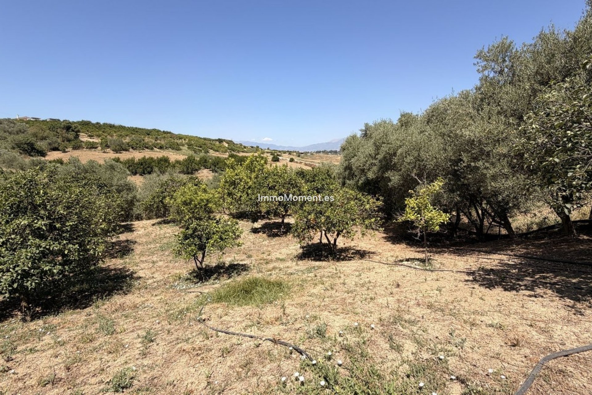Bestaande woning - Landhuis - Binnenland  - Alhaurín el Grande Centro
