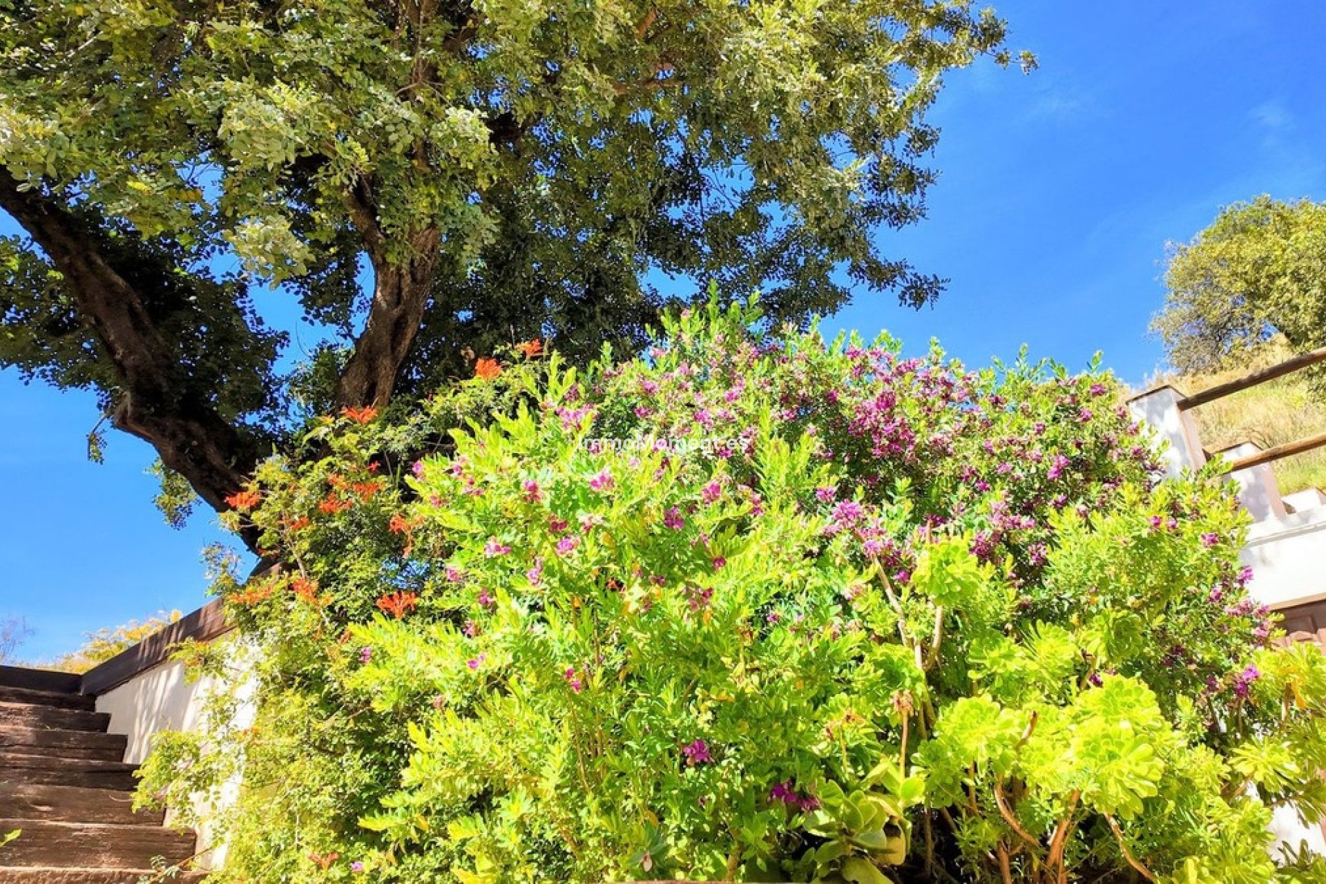 Bestaande woning - Landhuis - Binnenland  - Almogía