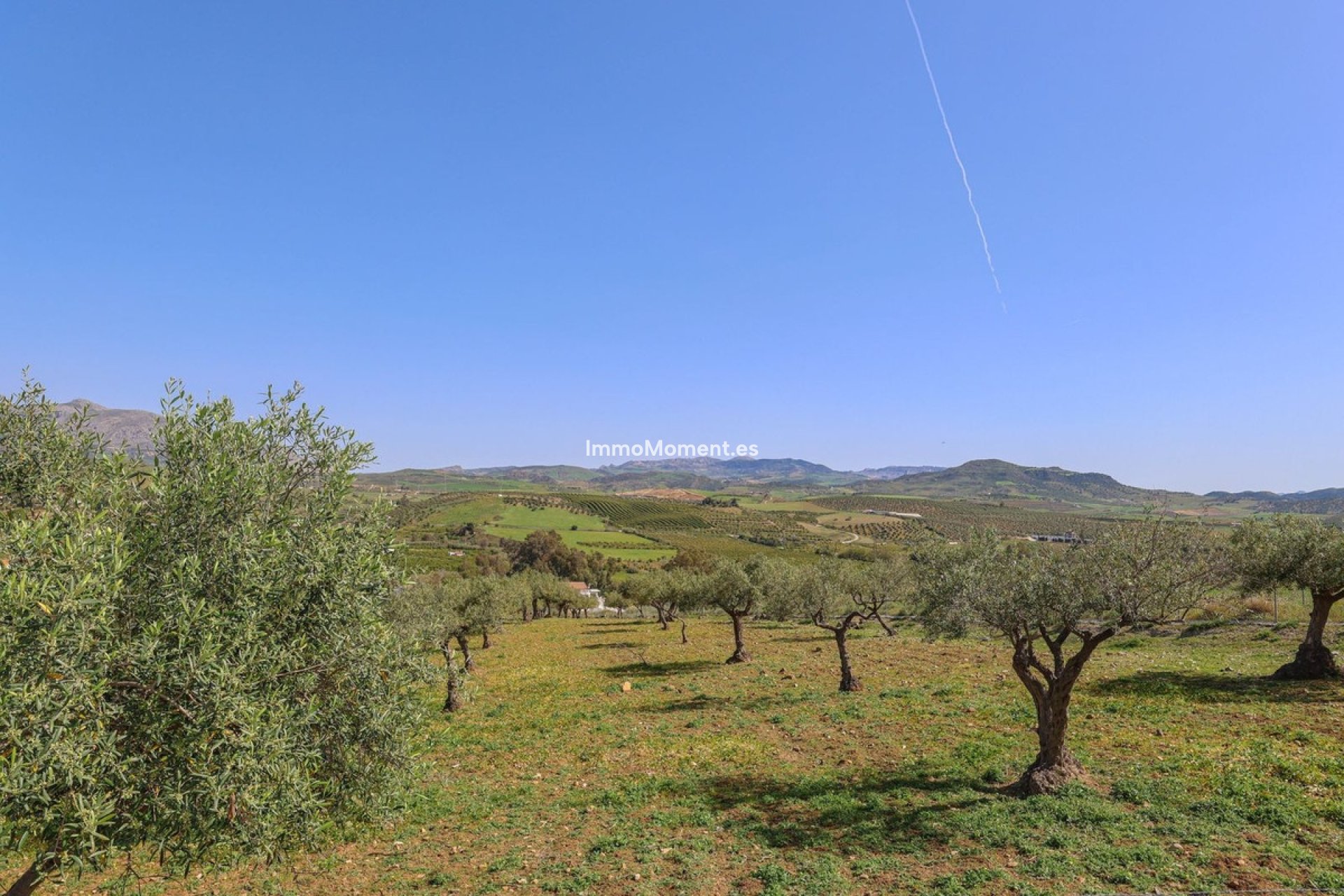 Bestaande woning - Landhuis - Binnenland  - Alora