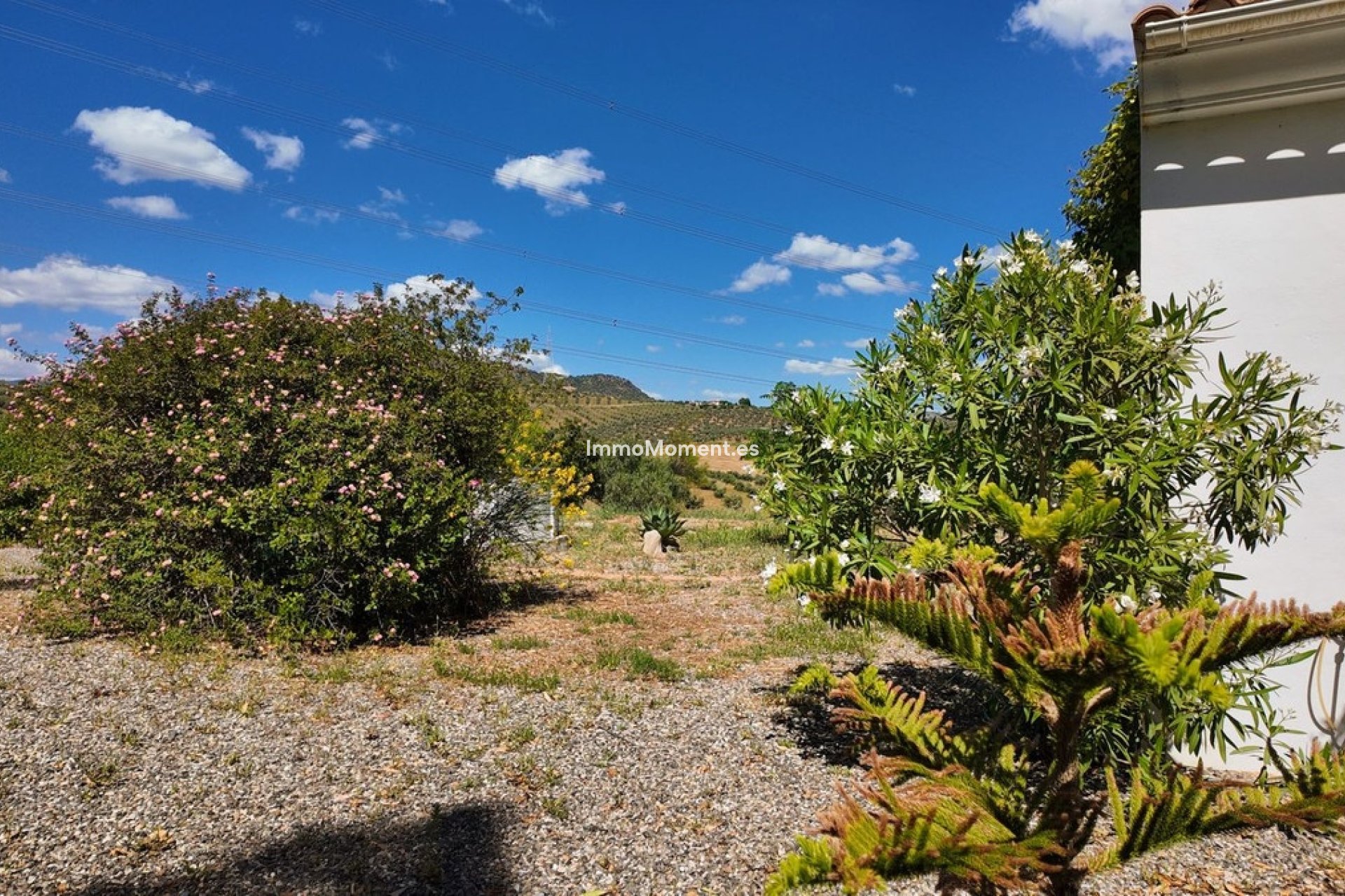 Bestaande woning - Landhuis - Binnenland  - Alora
