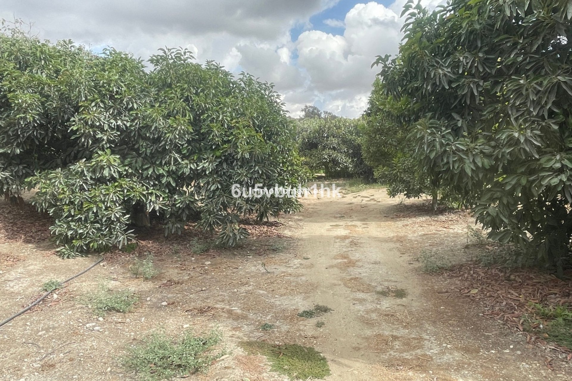 Bestaande woning - Landhuis - Binnenland  - Coín