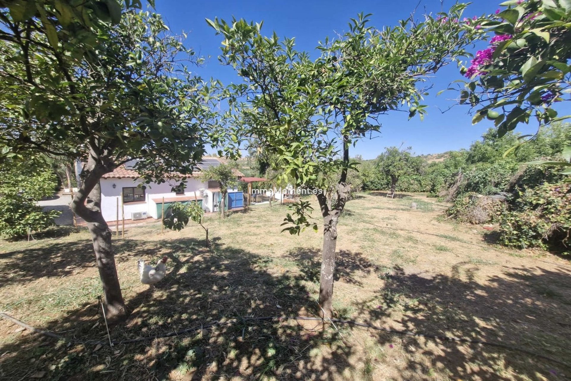 Bestaande woning - Landhuis - Binnenland  - Coín