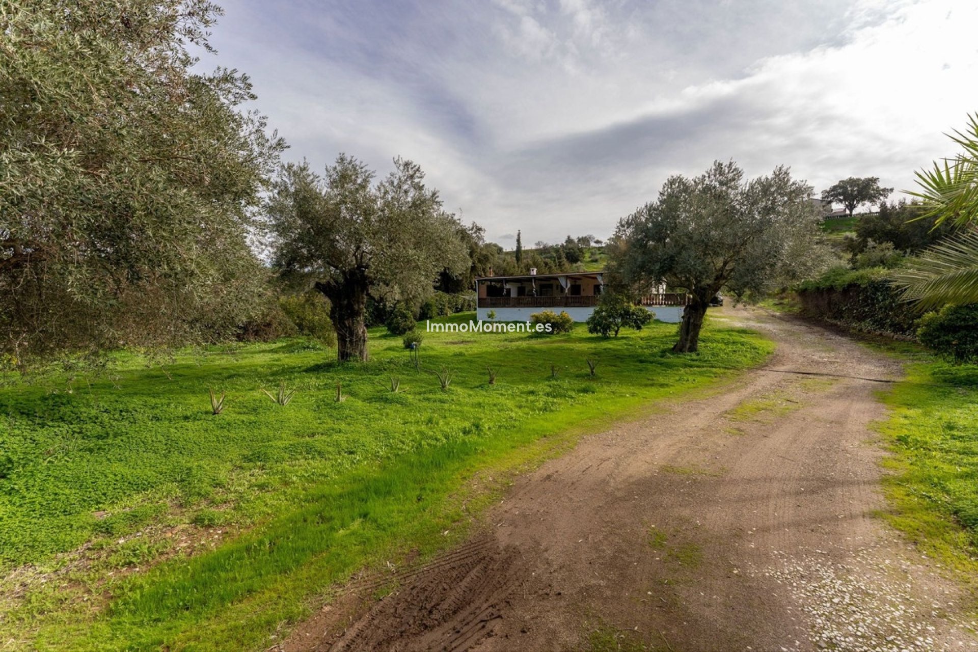 Bestaande woning - Landhuis - Binnenland  - Monda