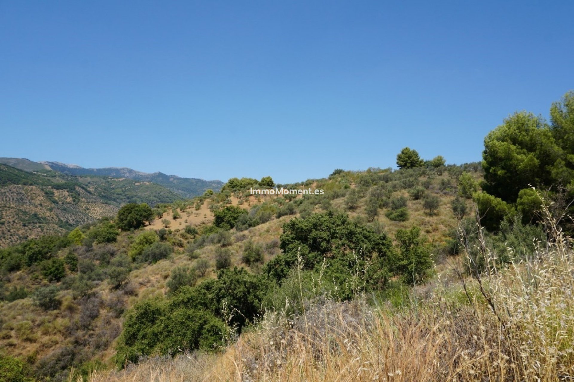 Bestaande woning - Landhuis - Binnenland  - Yunquera