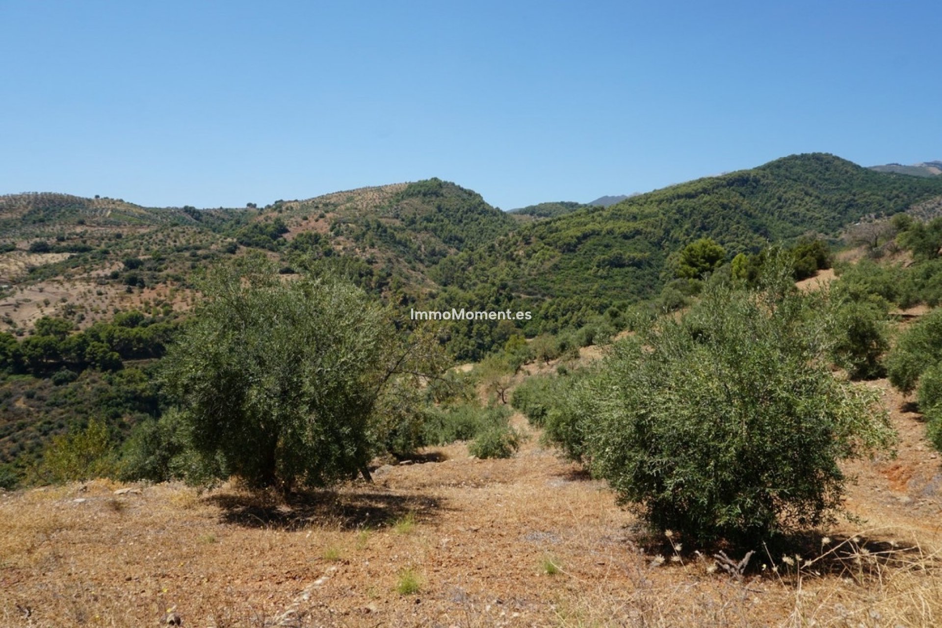 Bestaande woning - Landhuis - Binnenland  - Yunquera