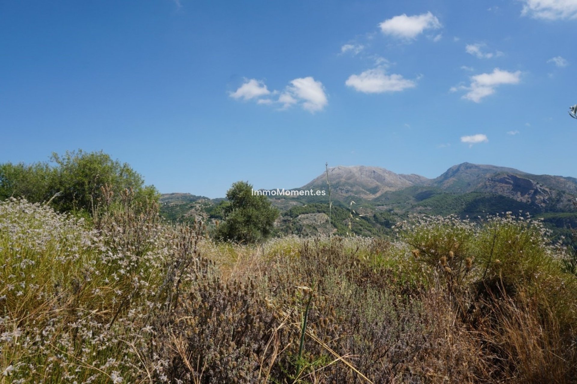 Bestaande woning - Landhuis - Binnenland  - Yunquera