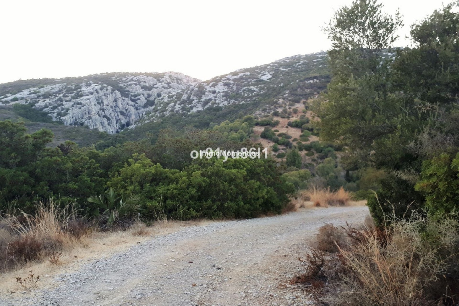 Bestaande woning - Landhuis - Casares - Casares Centro