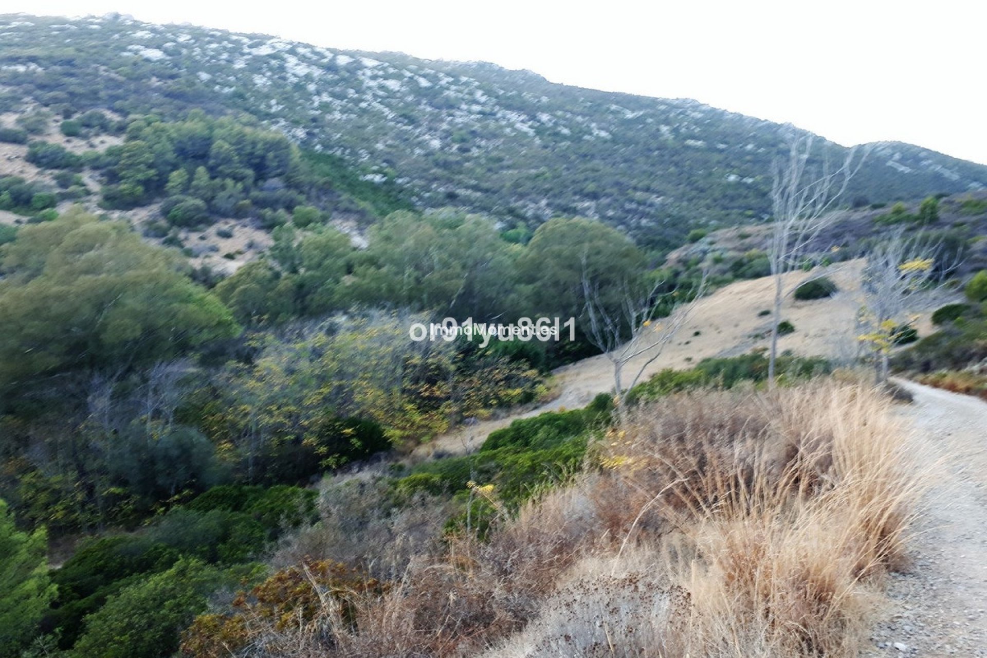 Bestaande woning - Landhuis - Casares - Casares Centro