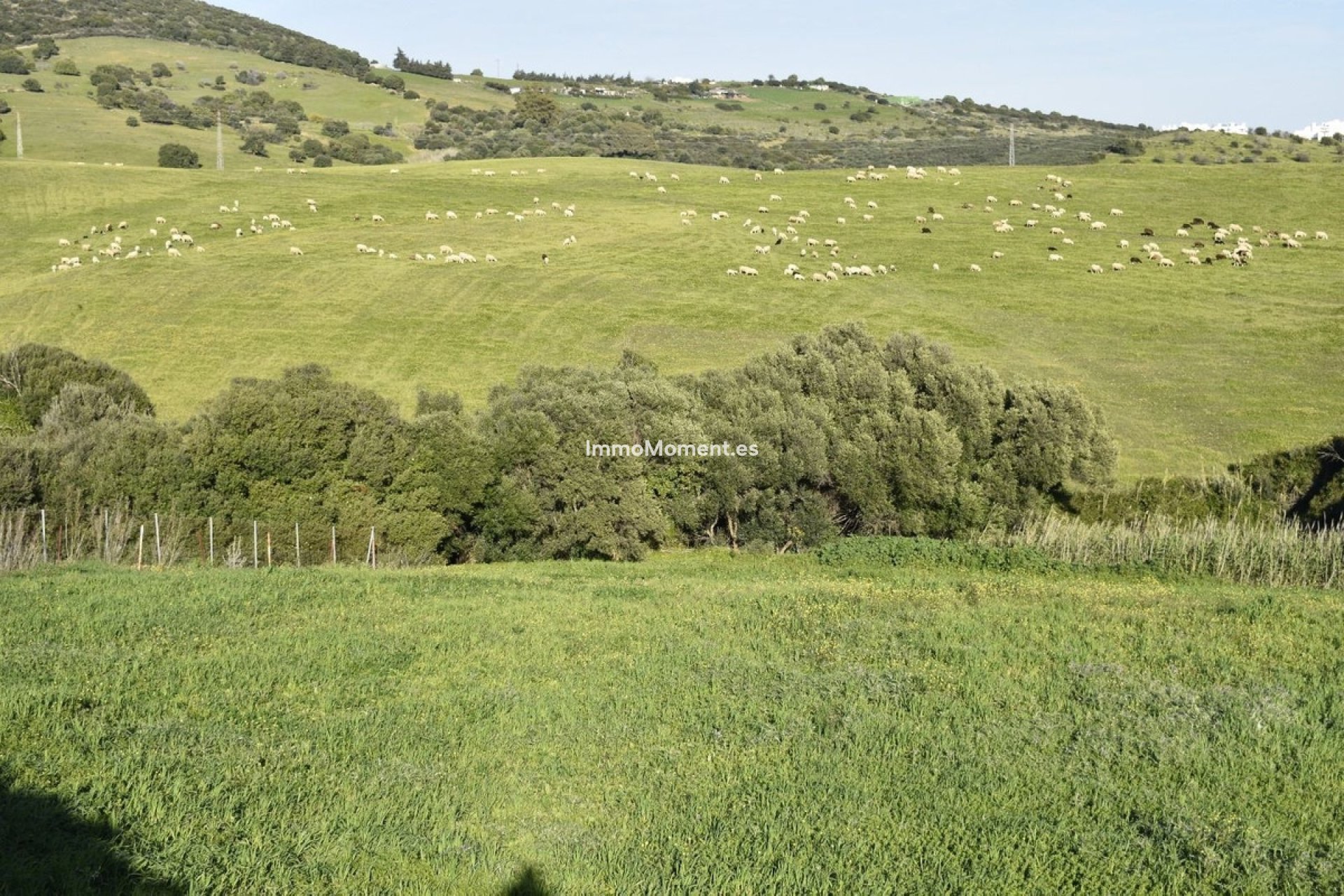 Bestaande woning - Landhuis - Casares - Casares Centro