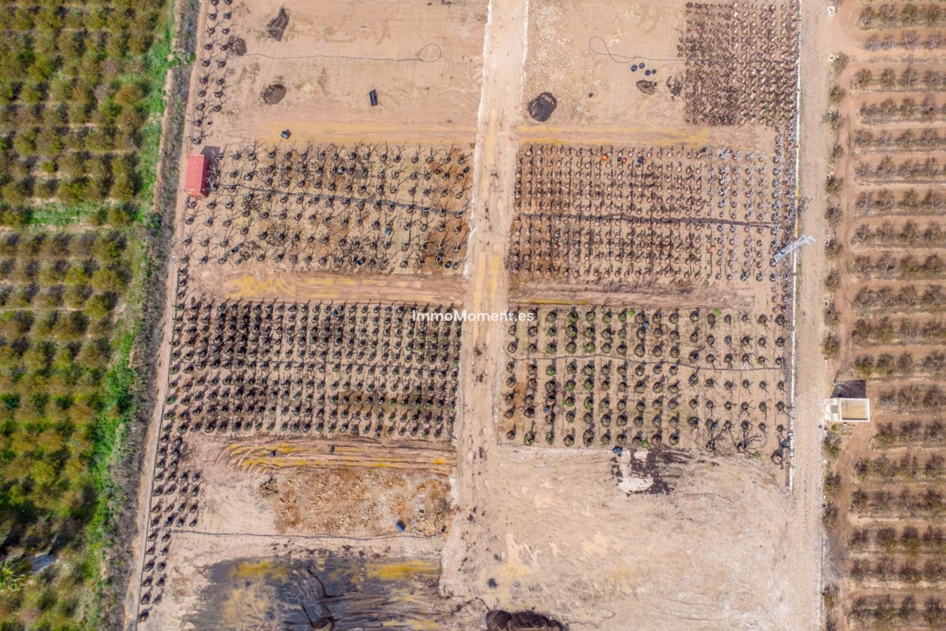 Bestaande woning - Landhuis - Crevillente - Crevillente - Crevillent Centro