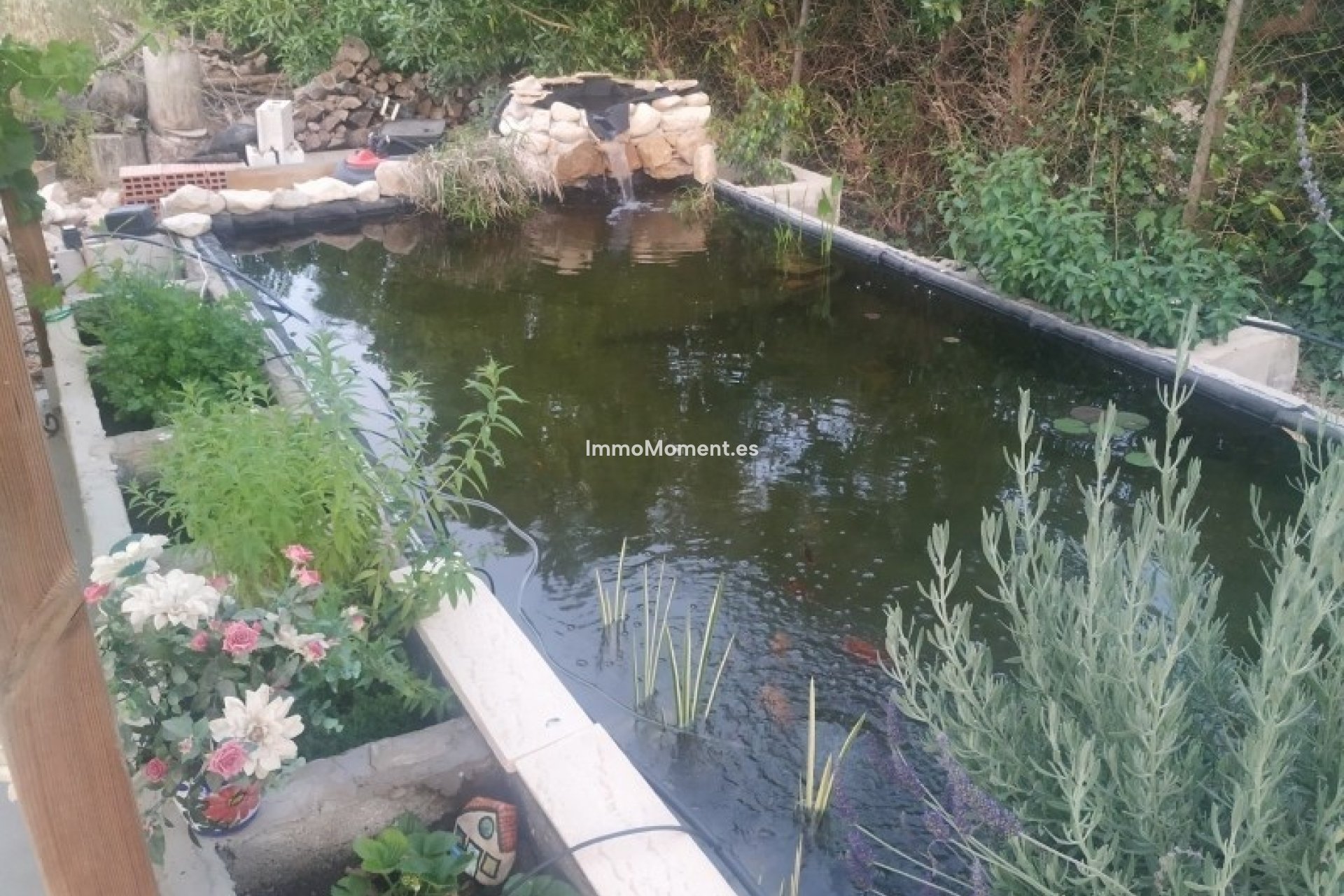 Bestaande woning - Landhuis - Crevillente - Crevillente - Crevillent Centro