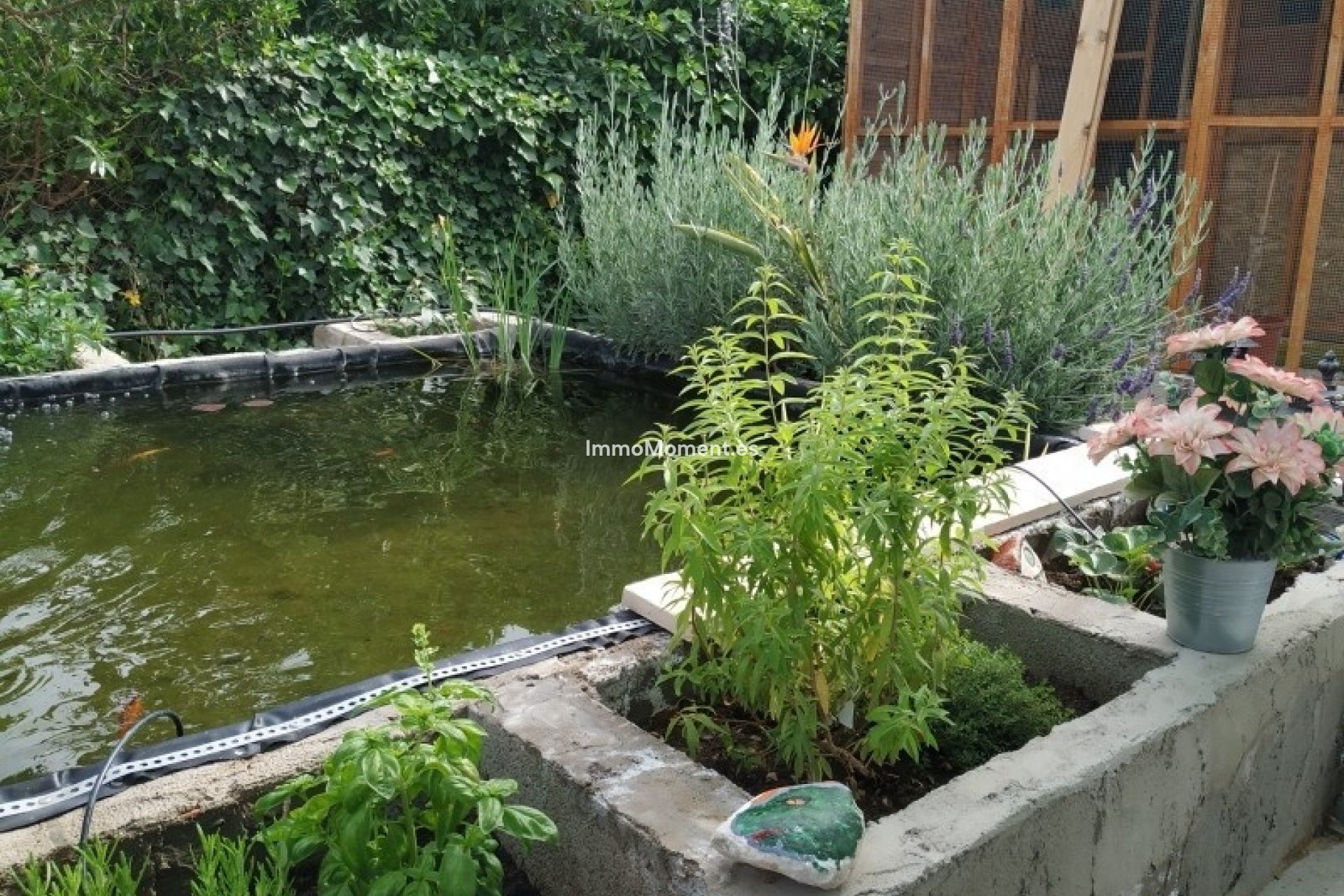 Bestaande woning - Landhuis - Crevillente - Crevillente - Crevillent Centro