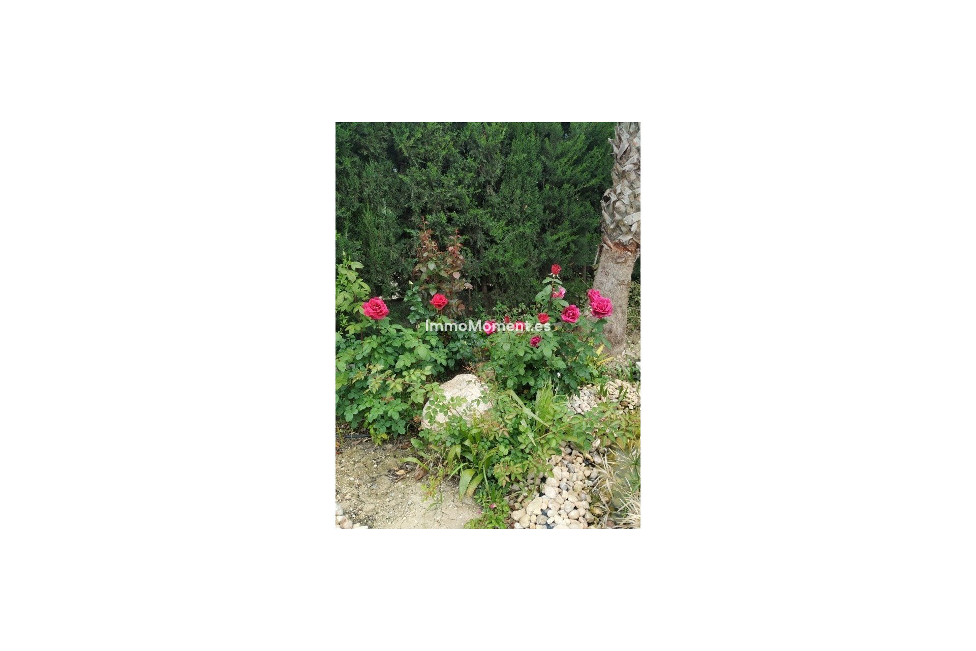 Bestaande woning - Landhuis - Crevillente - Crevillente - Crevillent Centro