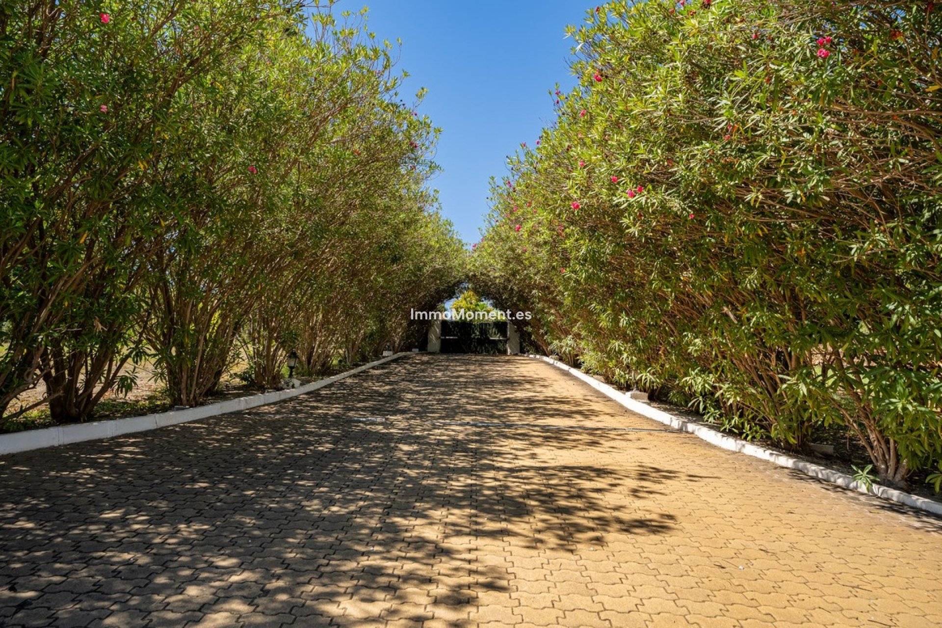 Bestaande woning - Landhuis - Estepona  - Cancelada