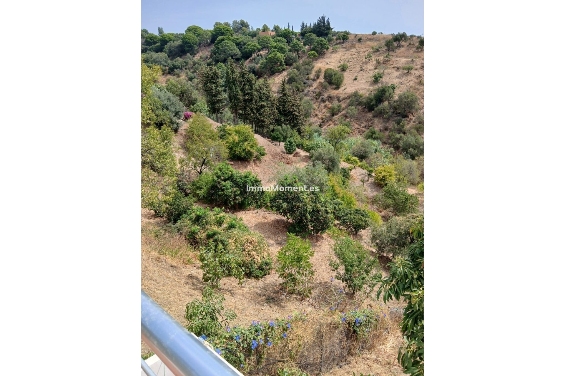 Bestaande woning - Landhuis - Estepona  - Estepona Centro