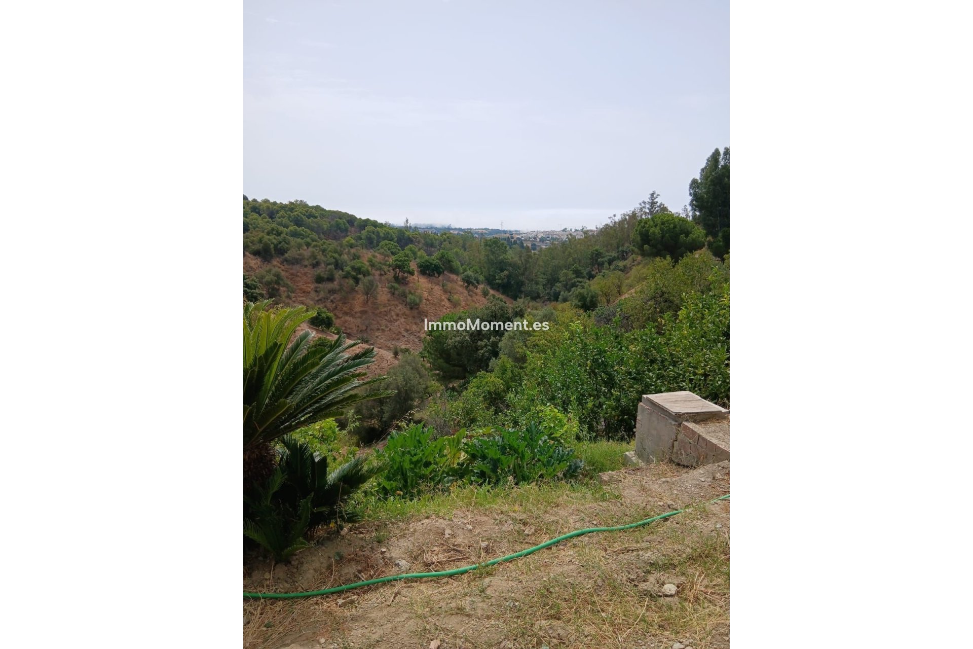 Bestaande woning - Landhuis - Estepona  - Estepona Centro