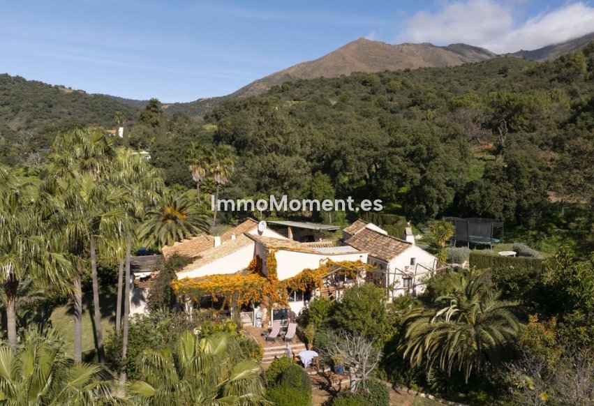 Bestaande woning - Landhuis - Estepona  - Estepona Centro