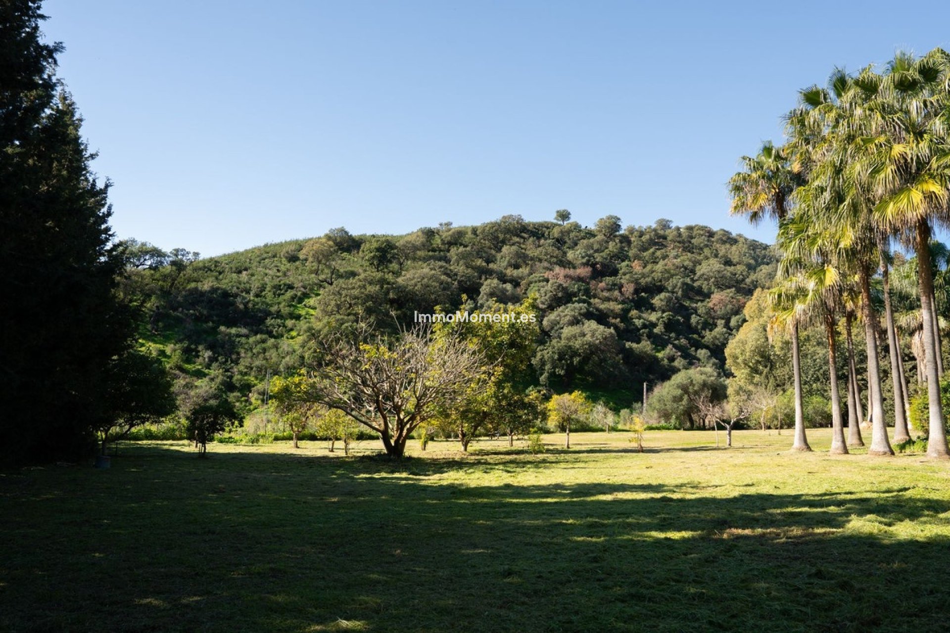 Bestaande woning - Landhuis - Estepona  - Estepona Centro