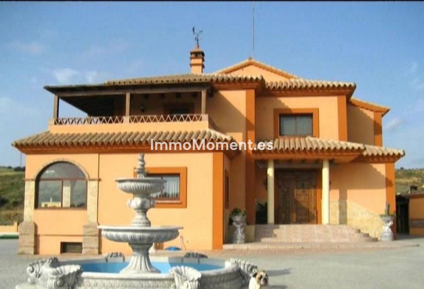 Bestaande woning - Landhuis - Estepona  - Estepona Centro