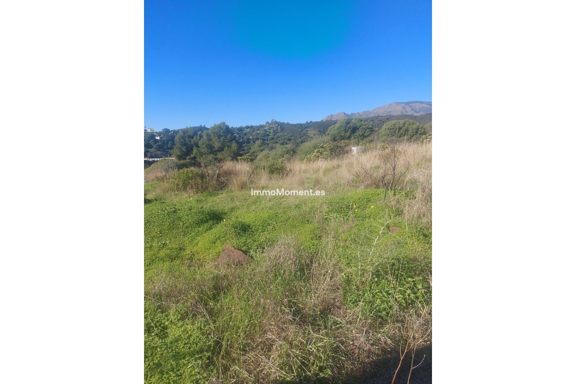 Bestaande woning - Landhuis - Estepona  - Estepona Centro