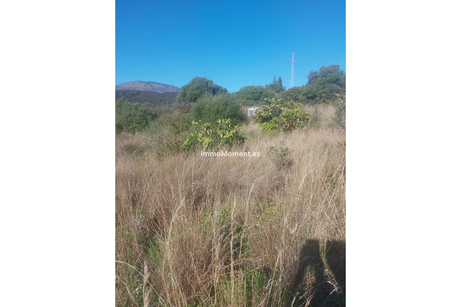 Bestaande woning - Landhuis - Estepona  - Estepona Centro