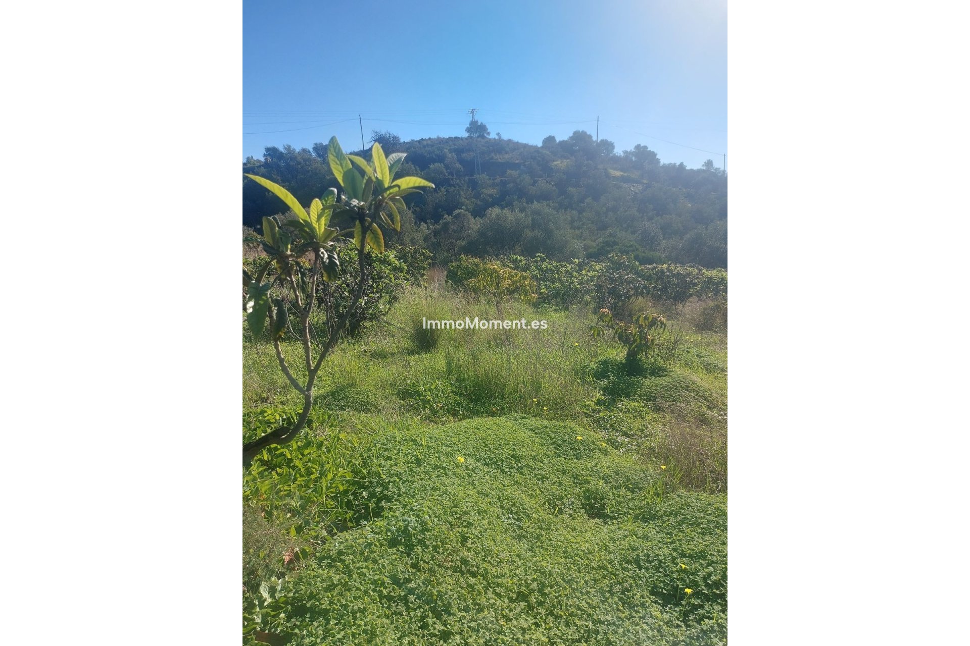 Bestaande woning - Landhuis - Estepona  - Estepona Centro