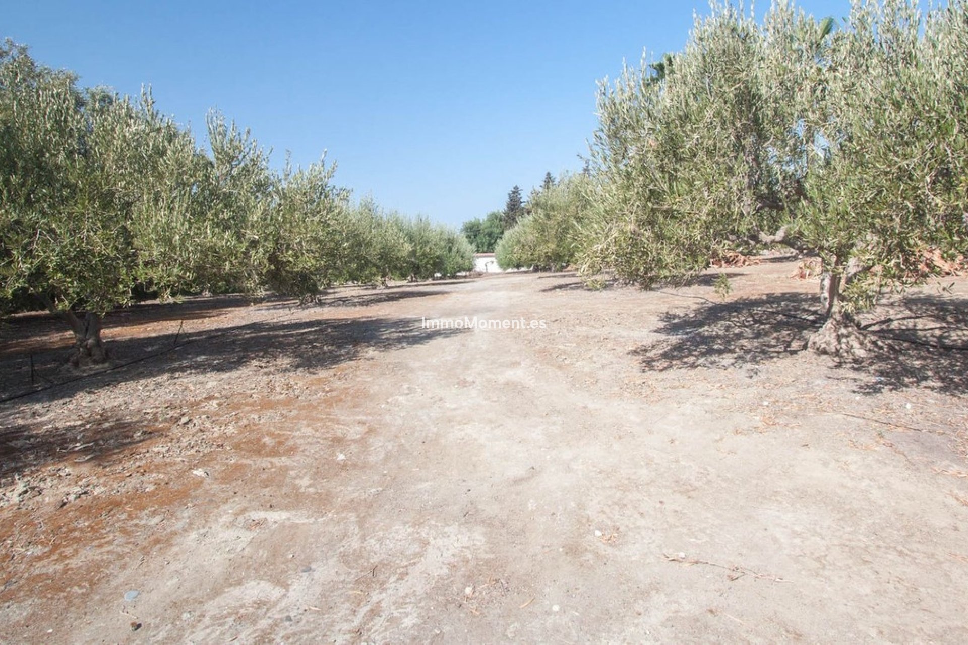 Bestaande woning - Landhuis - Estepona  - Estepona Centro