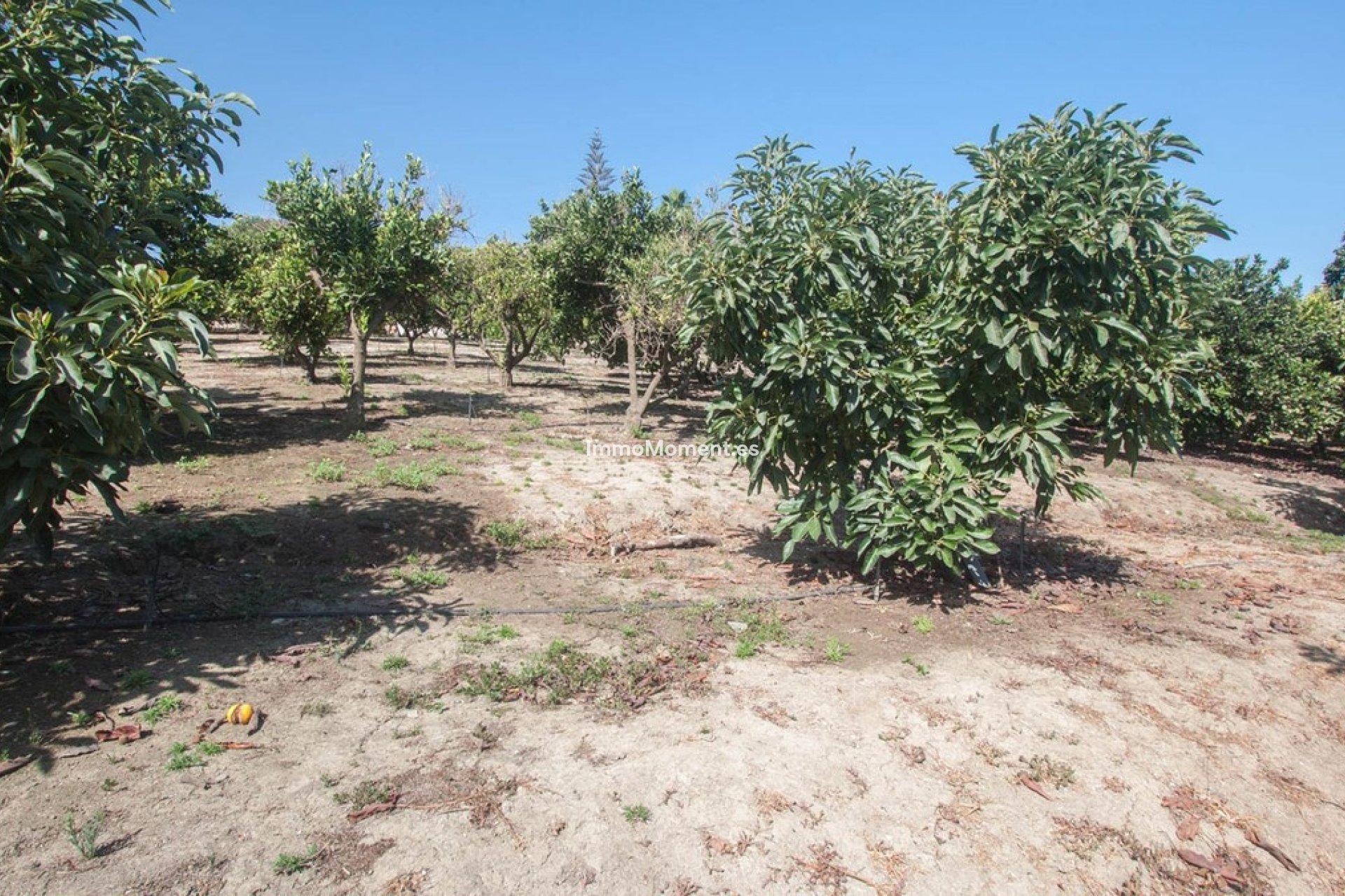 Bestaande woning - Landhuis - Estepona  - Estepona Centro