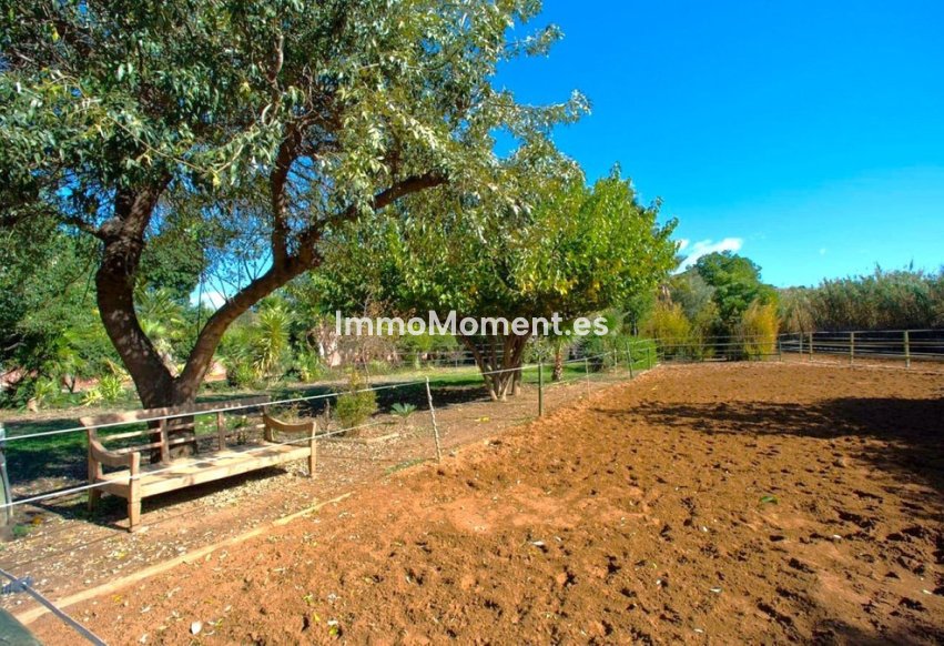 Bestaande woning - Landhuis - Estepona  - Estepona Centro