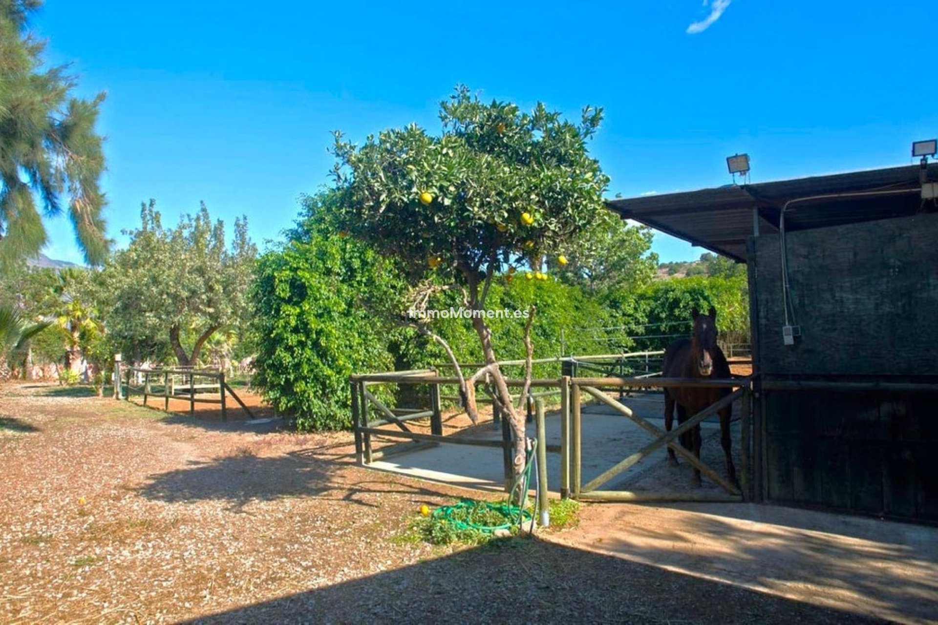 Bestaande woning - Landhuis - Estepona  - Estepona Centro