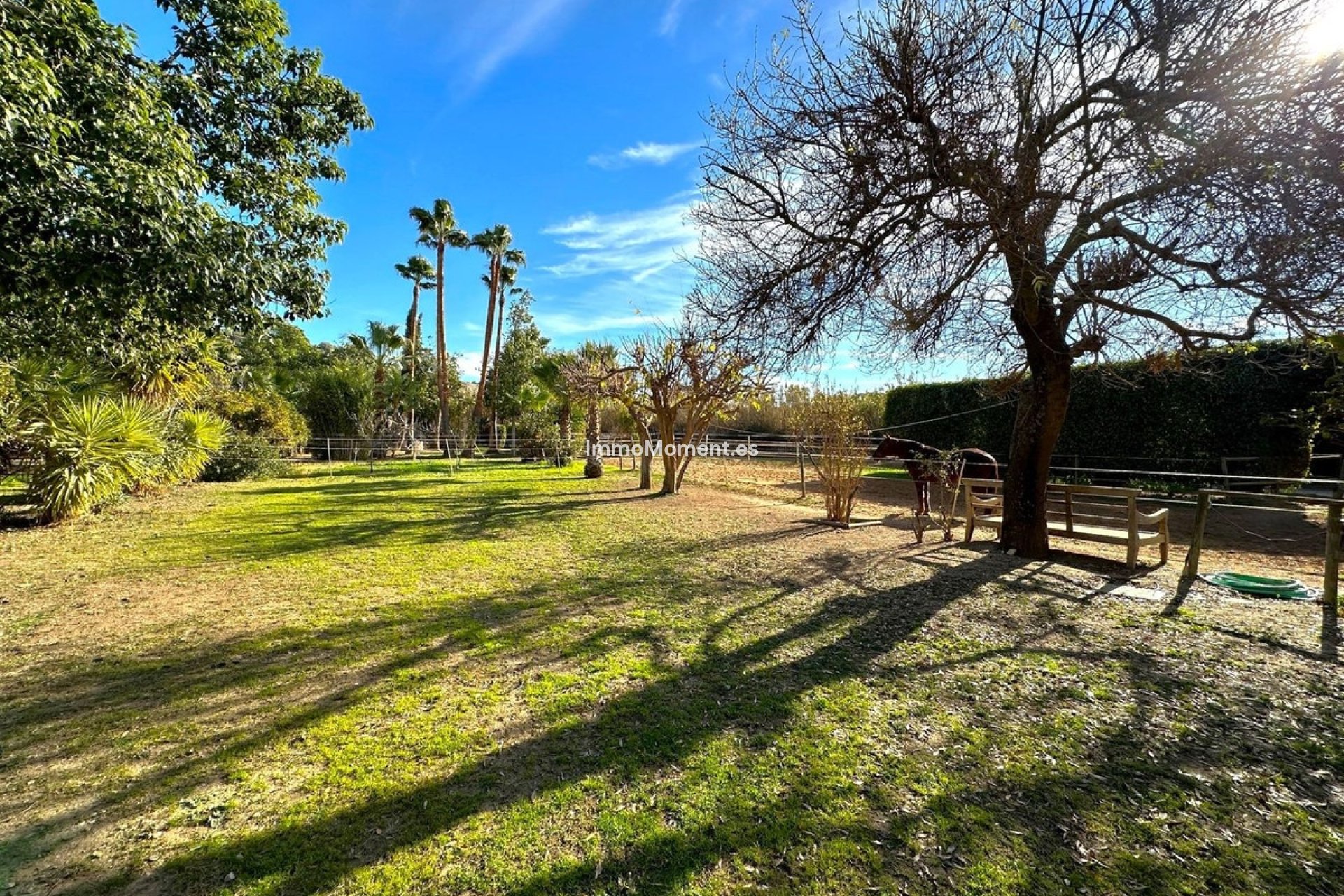 Bestaande woning - Landhuis - Estepona  - Estepona Centro