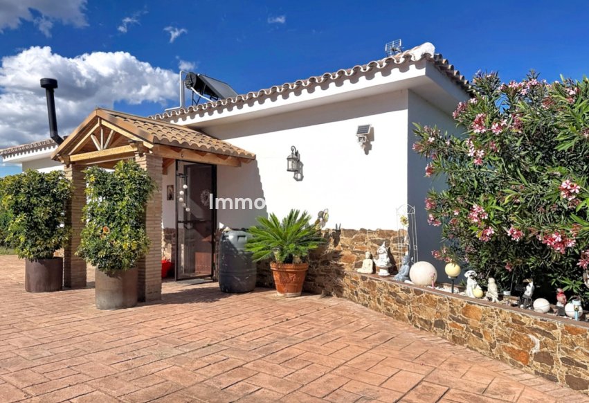 Bestaande woning - Landhuis - Estepona  - Estepona Centro