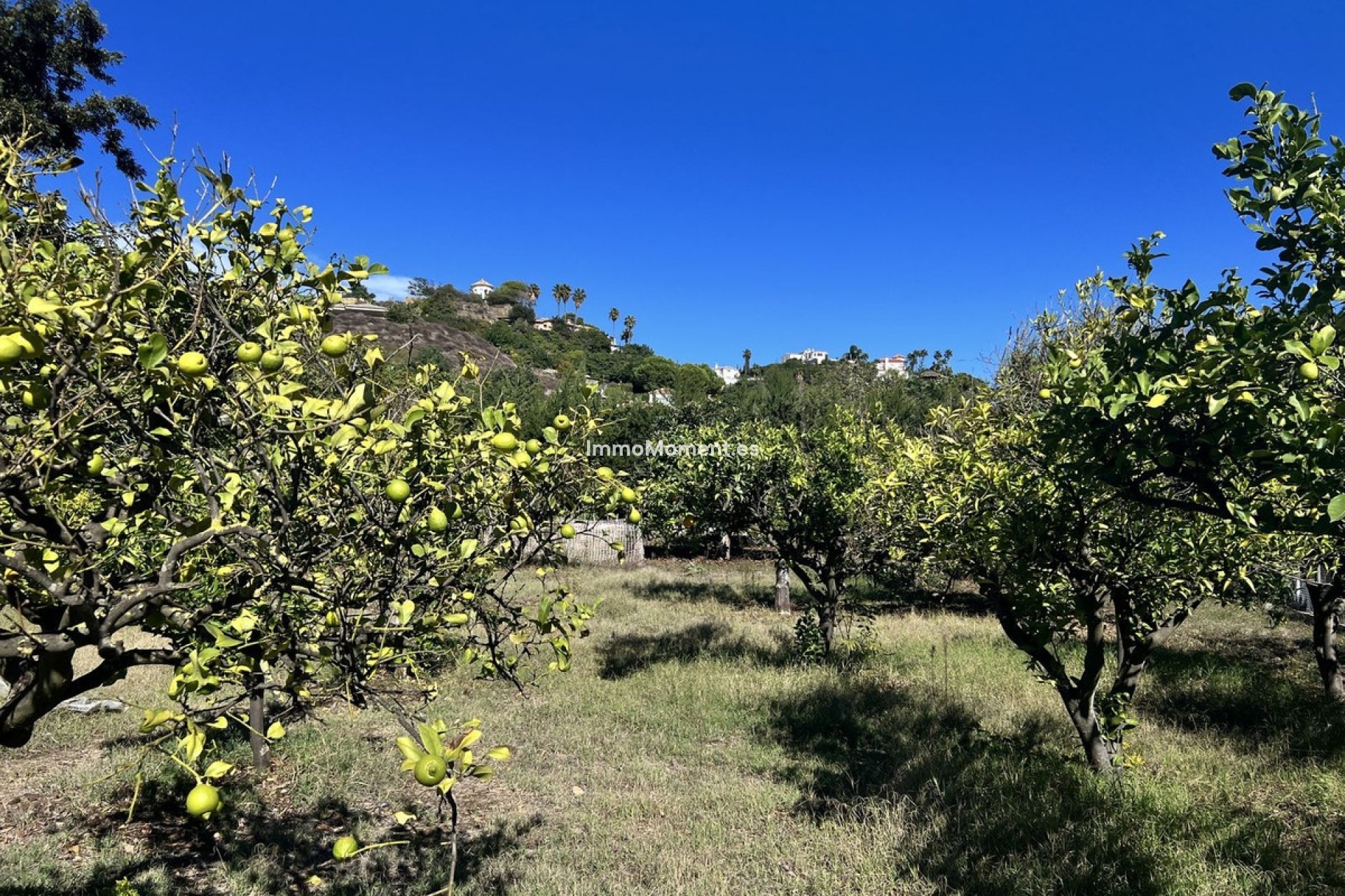 Bestaande woning - Landhuis - Estepona  - New Golden Mile