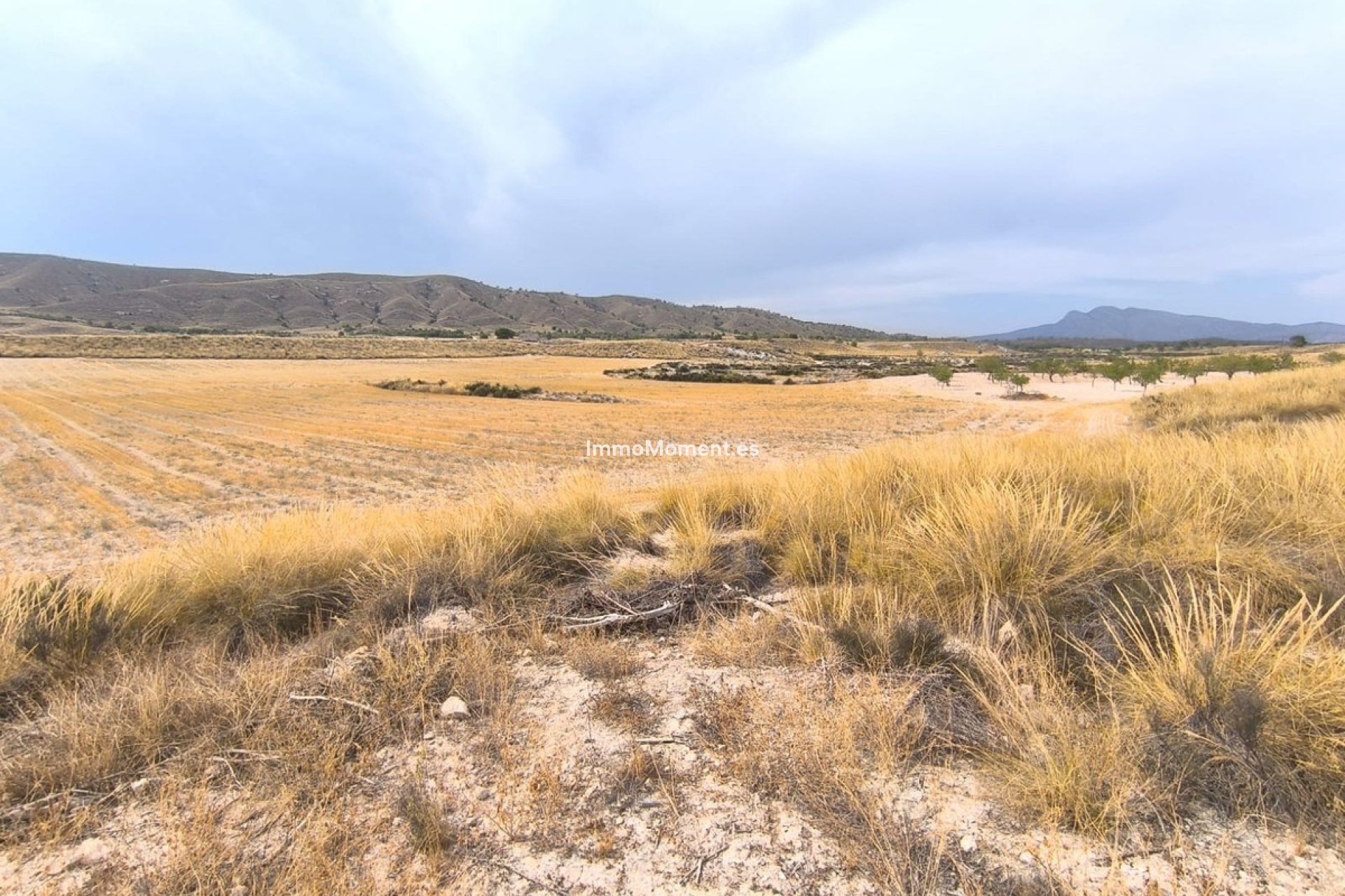 Bestaande woning - Landhuis - Jumilla - Jumilla Centro
