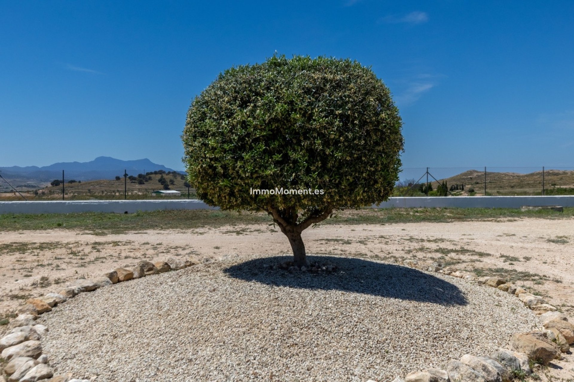 Bestaande woning - Landhuis - Jumilla - Torre Del Rico