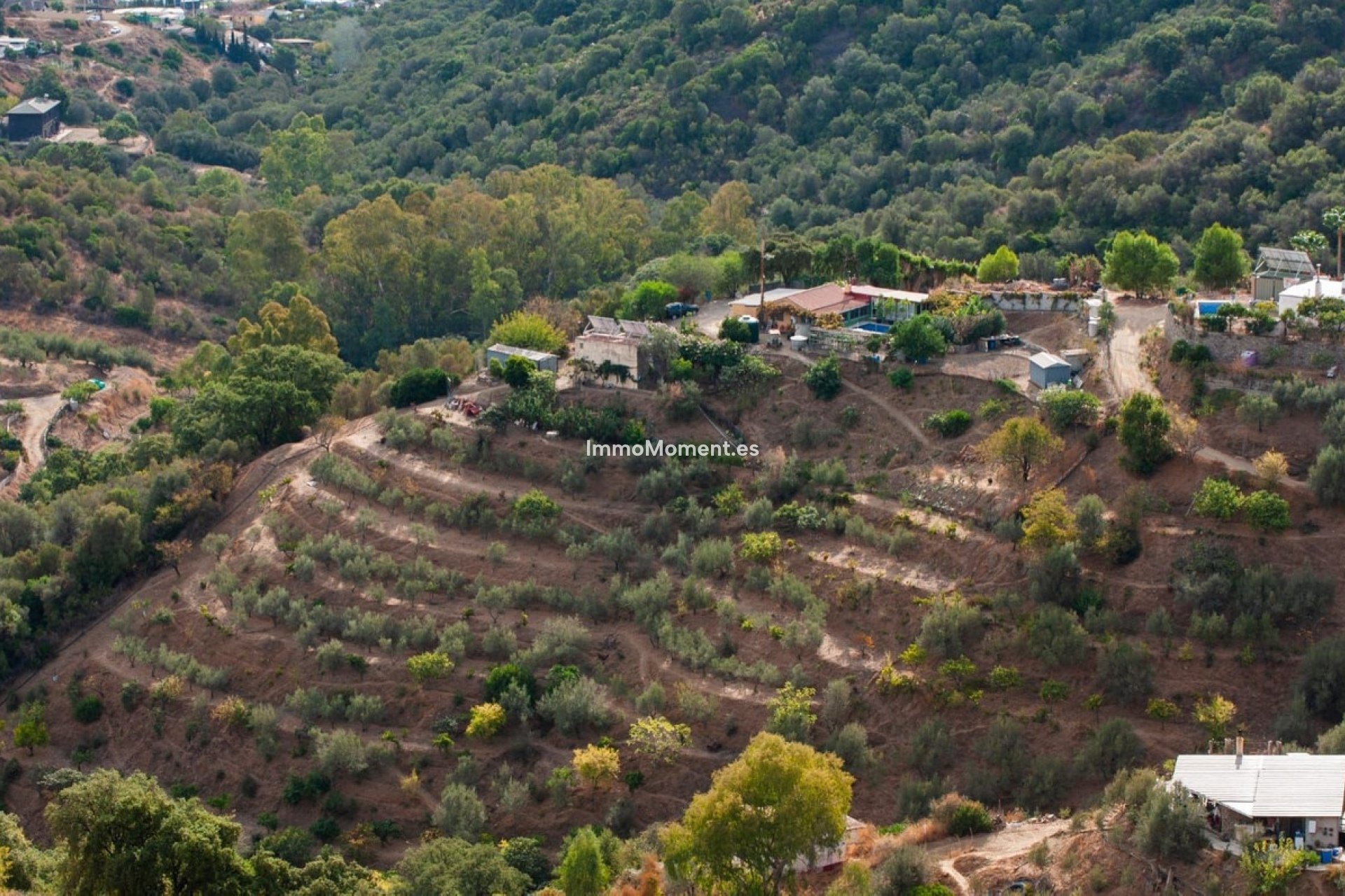 Bestaande woning - Landhuis - Marbella - Altos de los Monteros