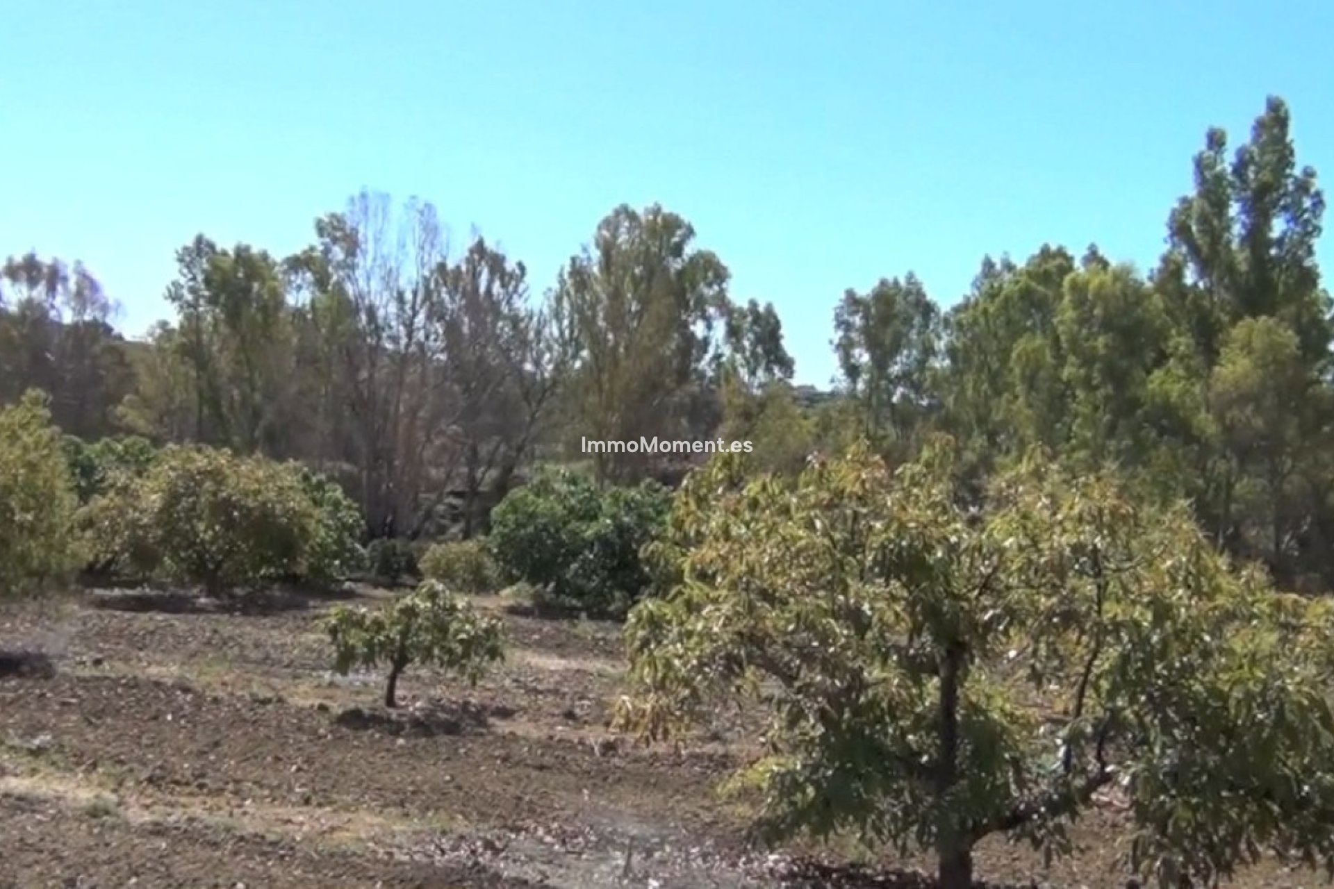 Bestaande woning - Landhuis - Mijas - Entrerrios
